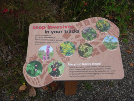 Sign explaining invasive plants species on shoes – shoe cleaning station with boot brush